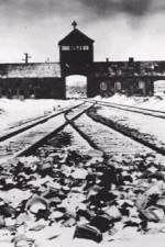 Watch AUSCHWITZ: CORRUPTION Myflixer