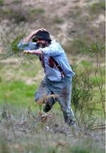 Watch Riot or Revolution: Eureka Stockade 1854 Myflixer