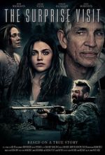 Watch The Surprise Visit Myflixer