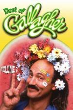 Watch Gallagher Stuck in the Sixties Myflixer