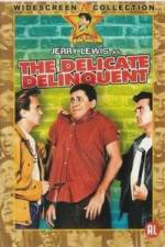 Watch The Delicate Delinquent Myflixer