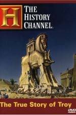 Watch The True Story of Troy Myflixer