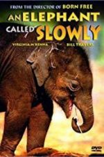 Watch An Elephant Called Slowly Myflixer