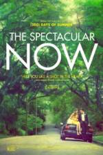 Watch The Spectacular Now Myflixer