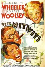Watch The Nitwits Myflixer