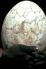 Watch Attenborough And The Giant Egg Myflixer