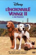 Watch Homeward Bound II Lost in San Francisco Myflixer