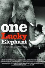 Watch En lycklig elefant Myflixer