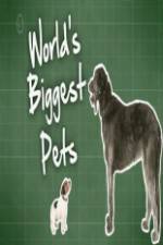 Watch World's Biggest Pets Myflixer