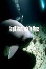 Watch National Geographic Wild Sixgill Shark Into The Abyss Myflixer