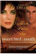 Watch Sweet Bird of Youth Myflixer