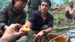 Watch Hallucinogen Honey Hunters (Short 2011) Myflixer