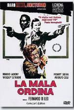 Watch The Italian Connection Myflixer