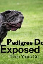 Watch Pedigree Dogs Exposed, Three Years On Myflixer