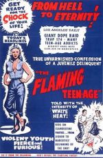 The Flaming Teenage