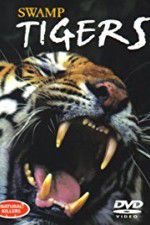 Watch Swamp Tigers Myflixer