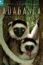 Watch Madagascar Island of Marvels Myflixer