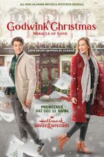 Watch A Godwink Christmas: Miracle of Love Myflixer