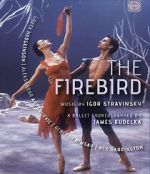 Watch The Firebird Myflixer
