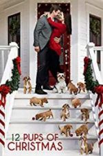 Watch 12 Pups of Christmas Myflixer