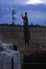 Watch Cowboy Christmas Myflixer