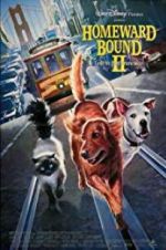 Watch Homeward Bound II: Lost in San Francisco Myflixer
