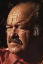 Watch The Return of Frank Cannon Myflixer
