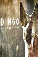 Watch Dingo Wild Dog at War Myflixer