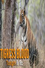 Watch Discovery Channel-Tigress Blood Myflixer