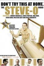 Watch Don't Try This at Home The Steve-O Video Myflixer