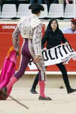 Watch Bull Runners of Pamplona Myflixer