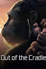 Watch Out of the Cradle Myflixer