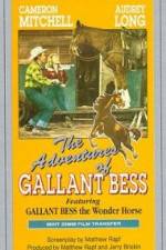 Watch Adventures of Gallant Bess Myflixer