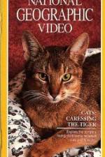 Watch Cats Caressing the Tiger Myflixer