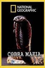Watch National Geographic Cobra Mafia Myflixer