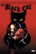 Watch Black Cat Myflixer