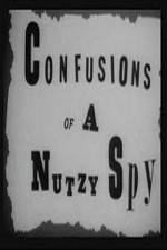 Watch Confusions of a Nutzy Spy Myflixer