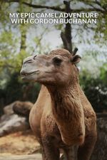 Watch My Epic Camel Adventure with Gordon Buchanan Myflixer