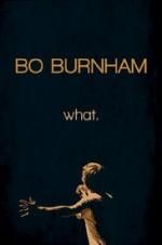 Watch Bo Burnham: what. Myflixer