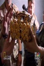 Watch Iraq's Lost Treasure Myflixer