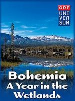 Watch Bohemia: A Year in the Wetlands Myflixer