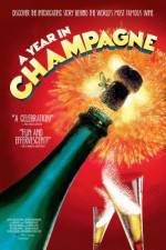 Watch A Year in Champagne Myflixer