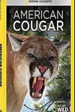 Watch National Geographic - American Cougar Myflixer