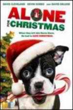 Watch Alone For Christmas Myflixer