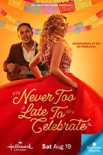 Watch Never Too Late to Celebrate Myflixer
