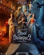 Watch Bhool Bhulaiyaa 2 Myflixer