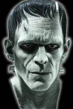 Watch Frankenstein Birth of a Monster Myflixer