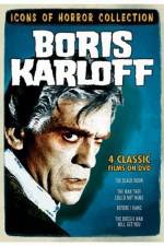 Watch The Boogie Man Will Get You Myflixer