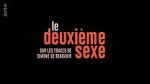 Watch Looking for Simone Myflixer