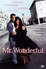Watch Mr Wonderful Myflixer
